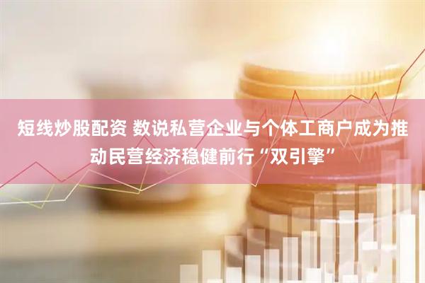 短线炒股配资 数说私营企业与个体工商户成为推动民营经济稳健前行“双引擎”