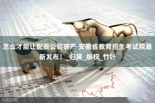怎么才能让配资公司破产 安徽省教育招生考试院最新发布！_归属_版权_竹叶