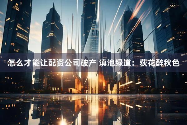 怎么才能让配资公司破产 滇池绿道：荻花醉秋色