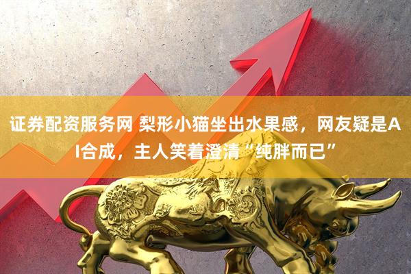 证券配资服务网 梨形小猫坐出水果感，网友疑是AI合成，主人笑着澄清“纯胖而已”